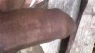 cocumelo - porn video