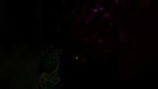 Sucking in the dark - porn video